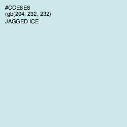 #CCE8E8 - Jagged Ice Color Image